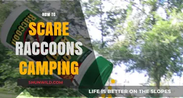 Effective Raccoon Repellents: Camping Tips to Keep Raccoons Away Safely