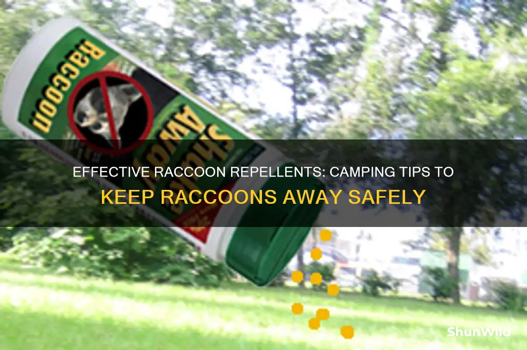 how to scare raccoons camping