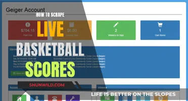 Scraping Live Basketball Scores: A Guide to Real-Time Data Extraction