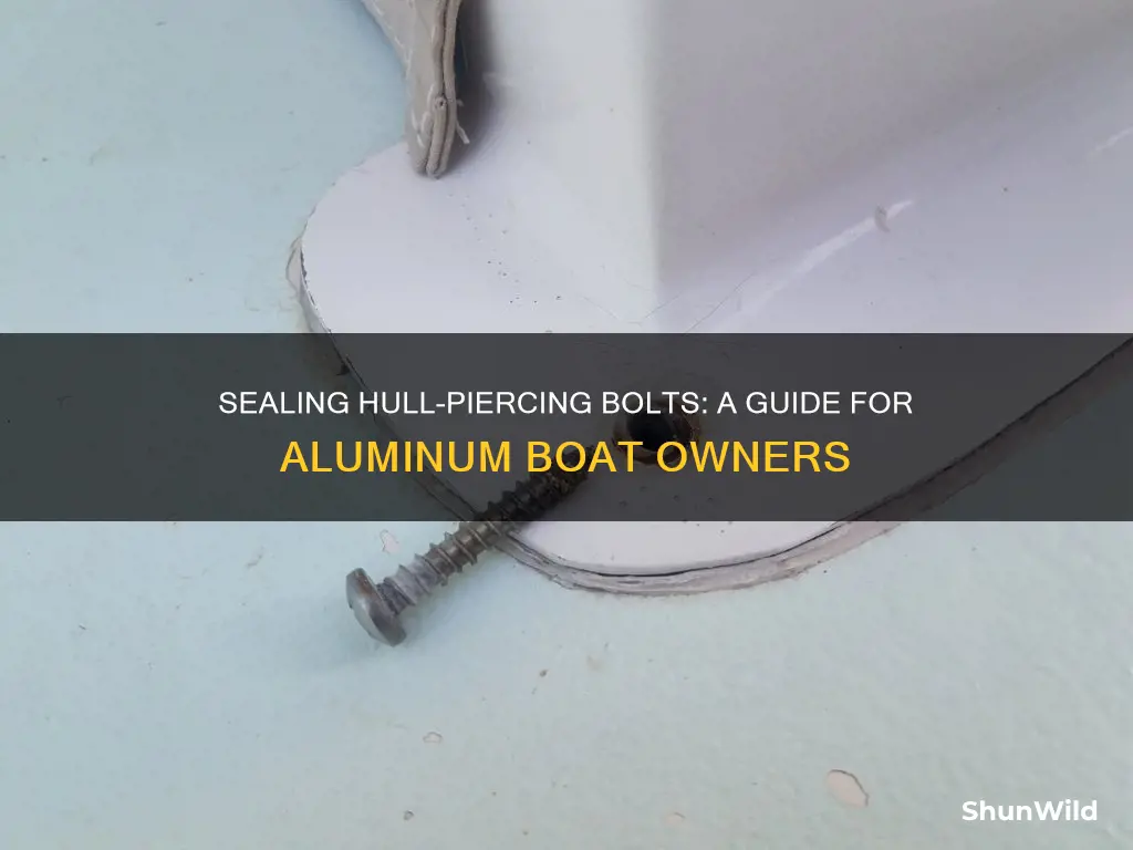 how to seal bolts goimgh through an aluminum boat hull