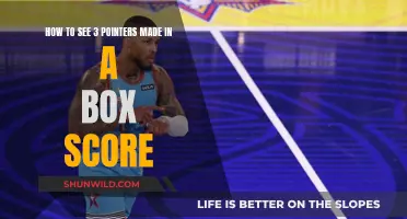 Viewing 3-Pointers Made: Understanding Box Scores Better