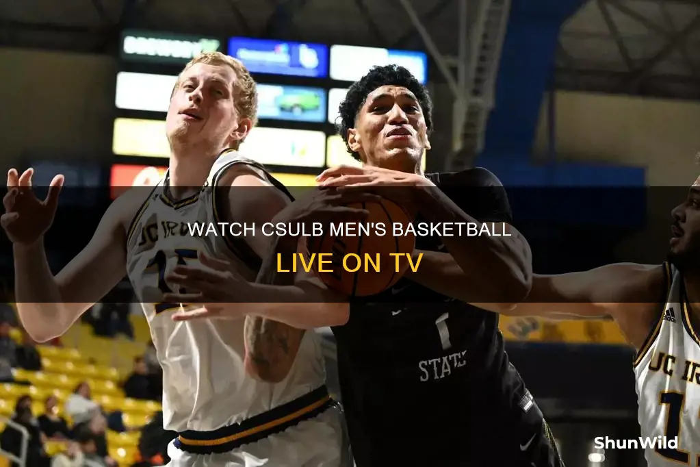 how to see cslb mens basketball on tv