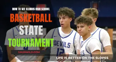 Illinois High School Basketball: State Tournament Viewing Guide