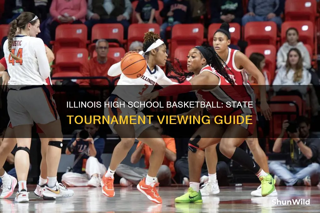 how to see illinois high school basketball state tournament