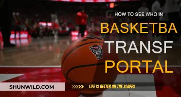 Who's in the Basketball Transfer Portal?