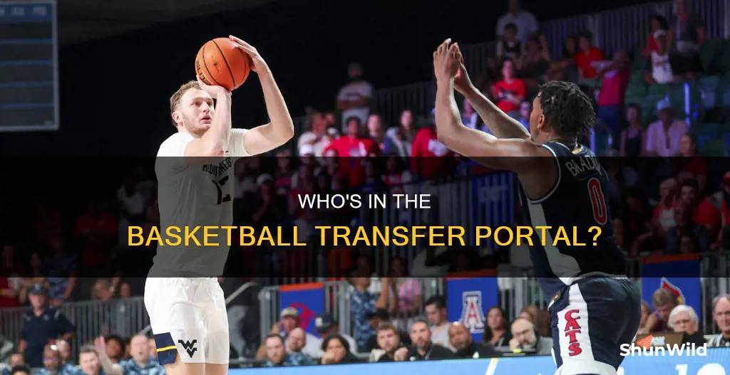 how to see who in basketball transfer portal