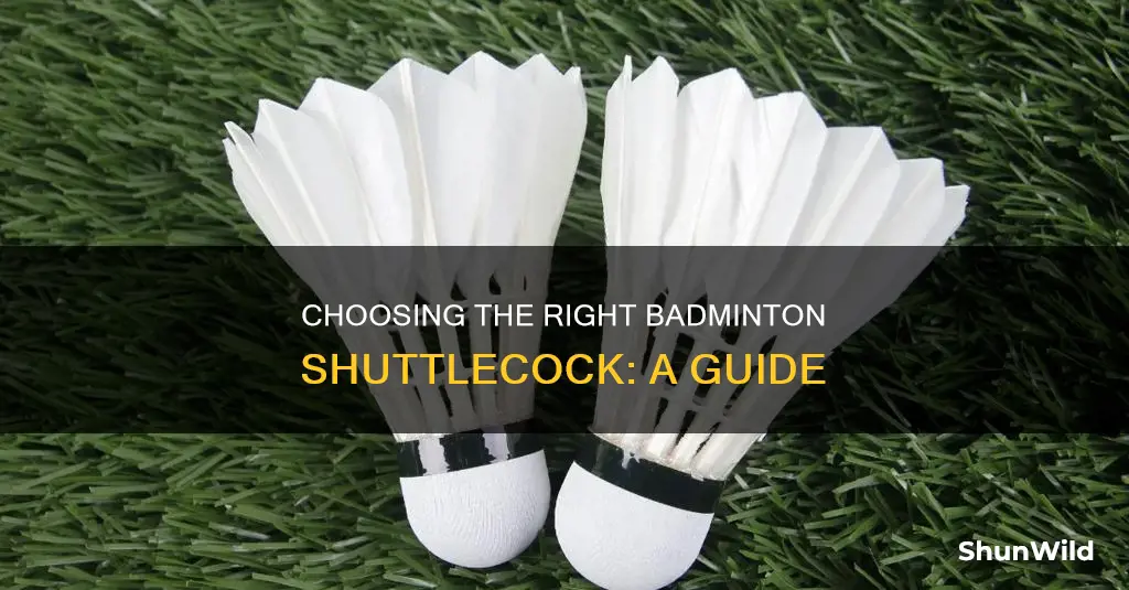 how to select badminton shuttlecock