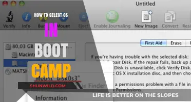 Choosing the Right OS for Boot Camp: A Step-by-Step Guide