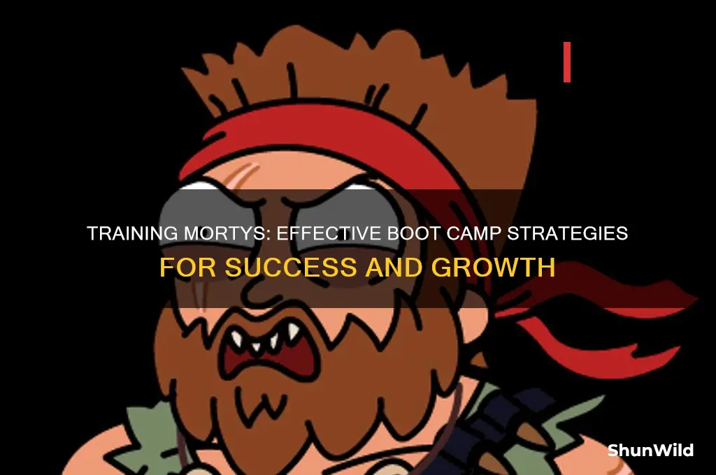 how to send mortys to boot camp