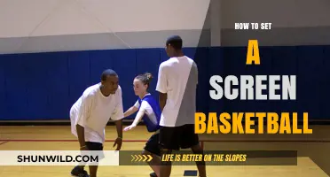 Setting Screens: Basketball's Unsung Heroes