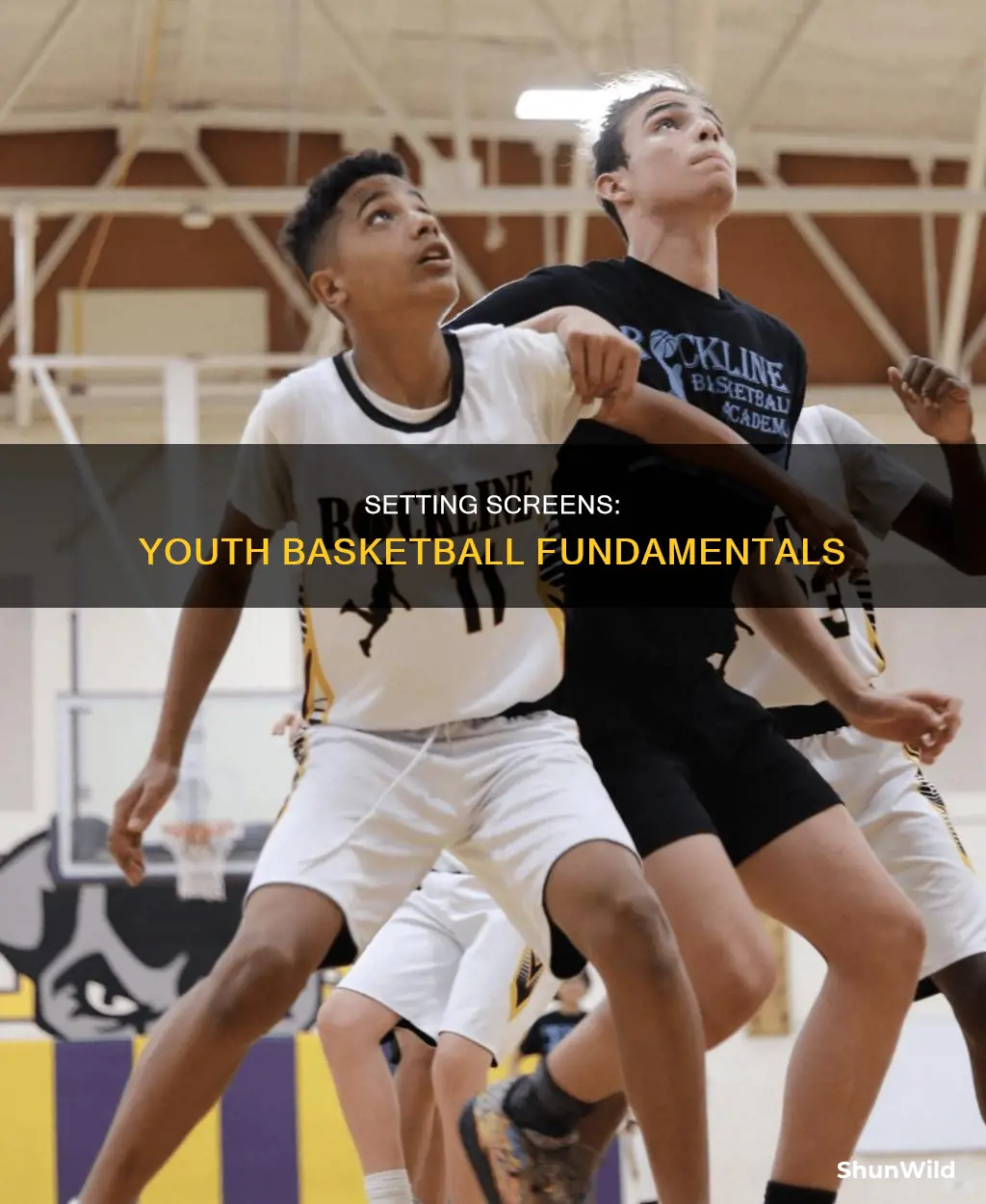 how to set a screen in youth basketball