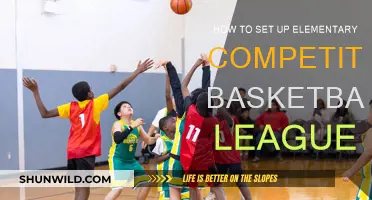 Setting Up a Competitive Youth Basketball League