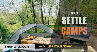 Mastering Camp Setup: Essential Tips for a Comfortable Outdoor Stay