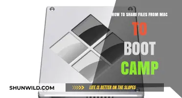 Efficiently Share Files Between macOS and Boot Camp Windows: A Guide