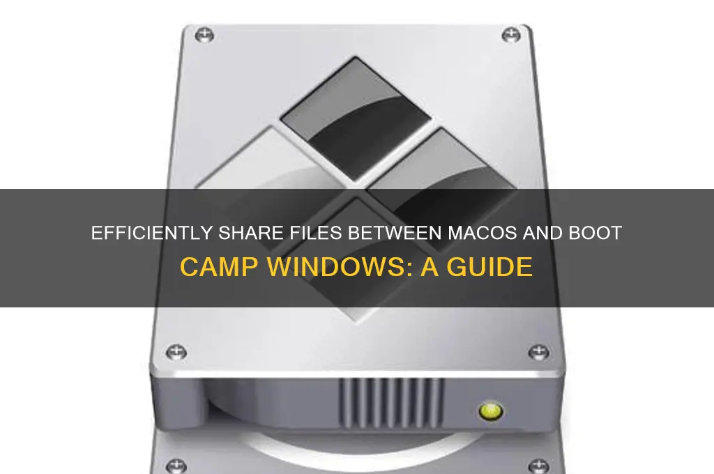 how to share files from mac to boot camp