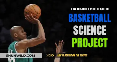 Mastering the Art of the Perfect Shot: A Scientific Guide to Basketball Success