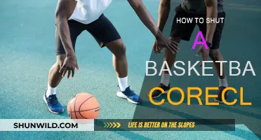 The Art of Properly Shutting a Basketball