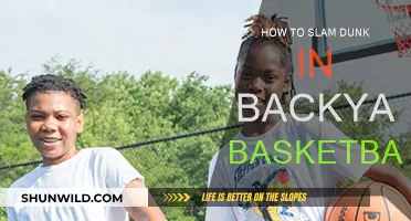 Backyard Basketball: Dunking Secrets Revealed
