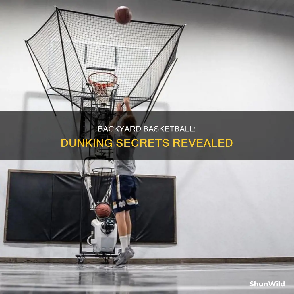how to slam dunk in backyard basketball