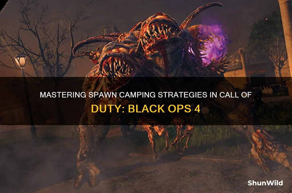 how to spawn camp bo4