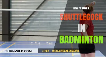 Mastering the Art of Spiking in Badminton