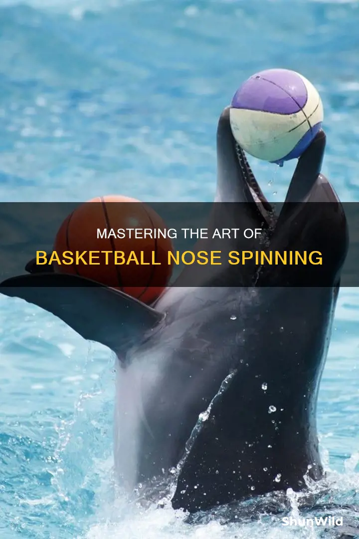 how to spin a basketball on your nose
