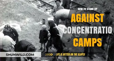 Resisting Injustice: Strategies to Oppose Concentration Camps and Protect Human Rights
