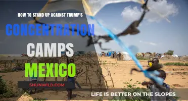 Resisting Trump's Concentration Camps: Strategies for Solidarity with Mexico