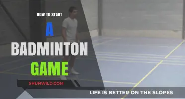 Badminton Basics: Getting Started on the Court