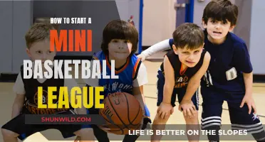 Creating a Mini Basketball League: A Step-by-Step Guide
