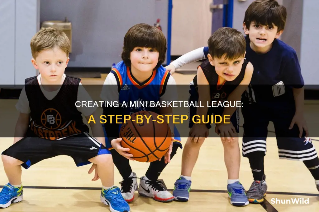 how to start a mini basketball league