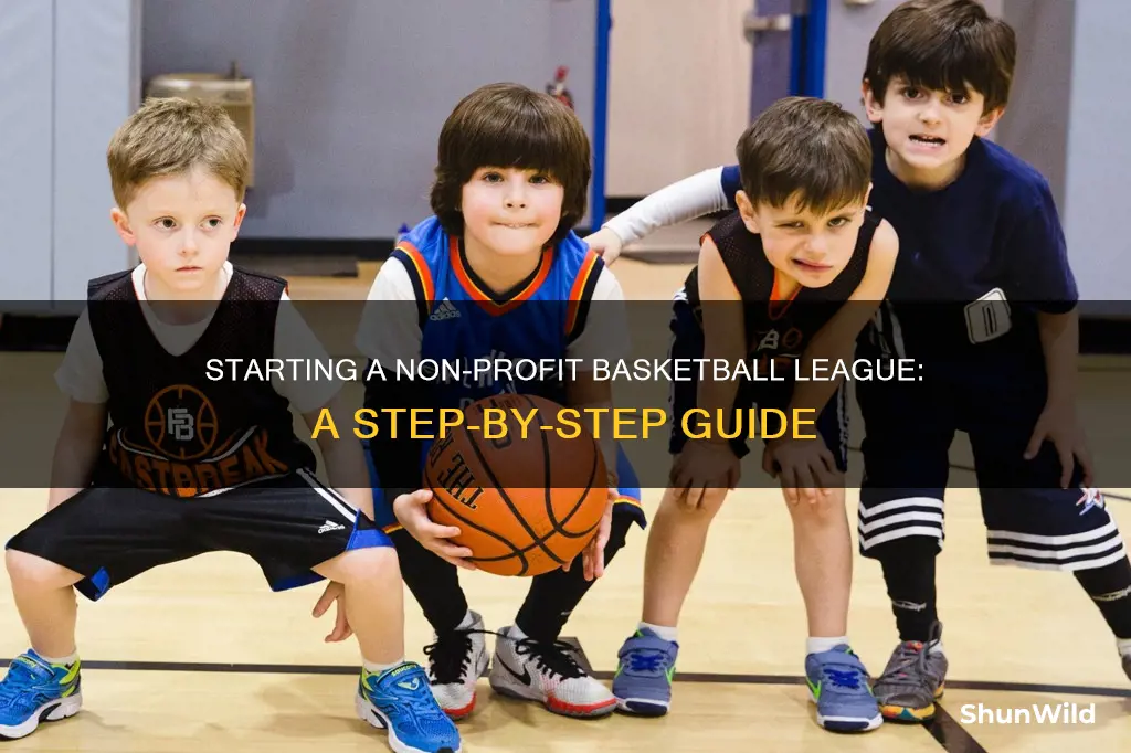 how to start a non profit basketball league