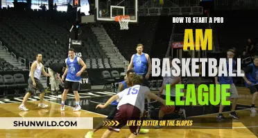 Launching a Pro-Am Basketball League: A Step-by-Step Guide