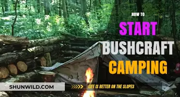 Master Bushcraft Camping: Essential Tips for Beginners to Survive Outdoors