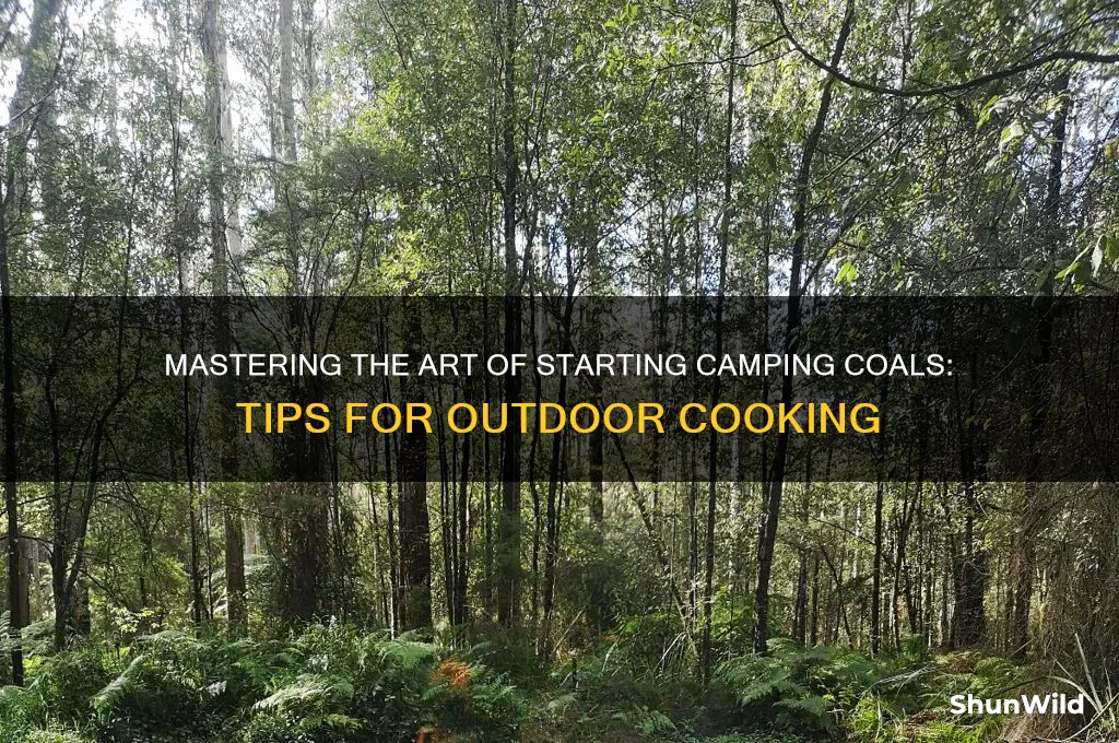 how to start camping coals