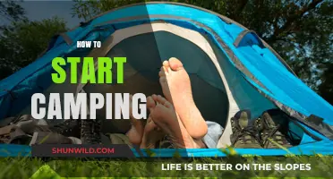 Beginner's Guide to Camping: Essential Tips for Your First Outdoor Adventure