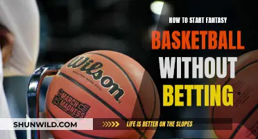 Fantasy Basketball: Get Started Without Betting