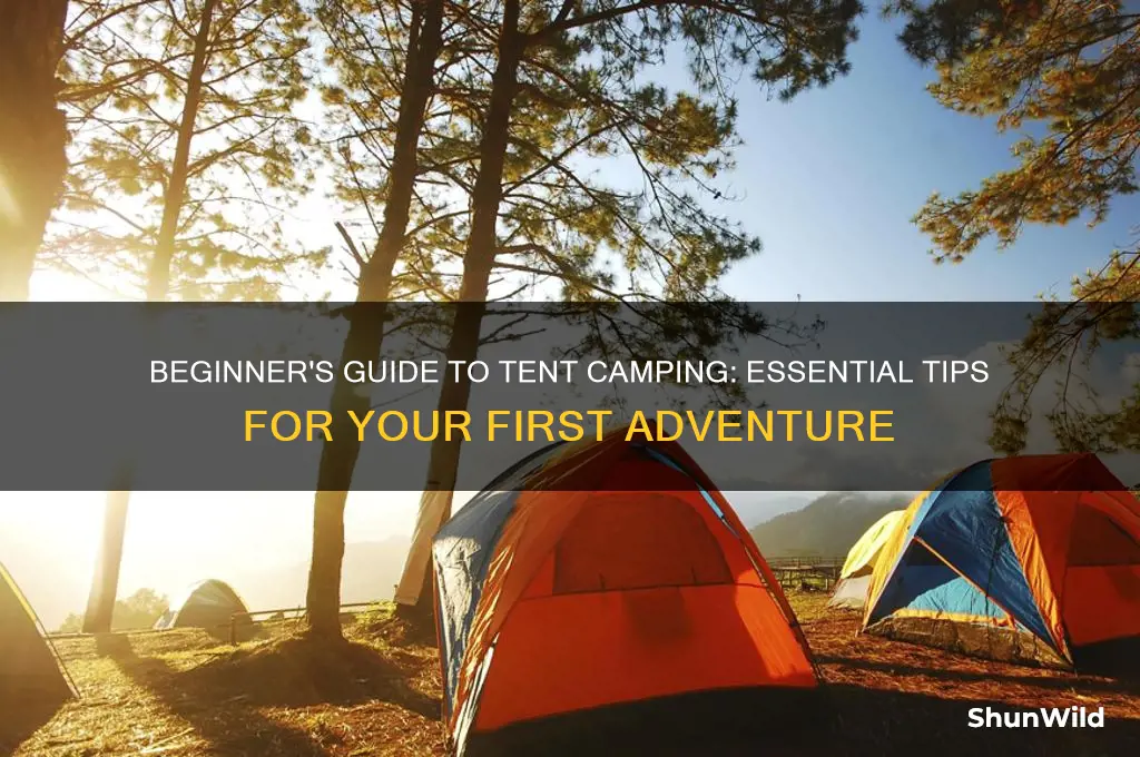 how to start tent camping