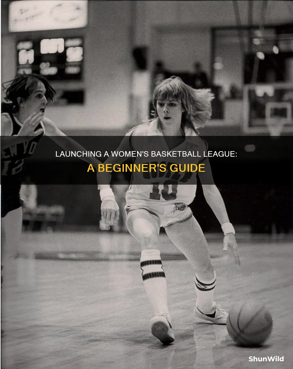 how to start womens basketball league
