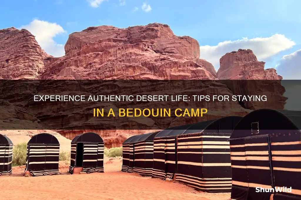 how to stay beduin camp