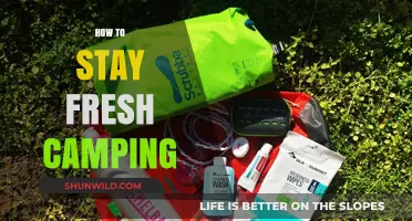 Stay Fresh Outdoors: Essential Camping Hygiene Tips for Adventure Seekers