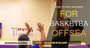 Staying Fit in the Off-Season: Secrets for Basketball Players