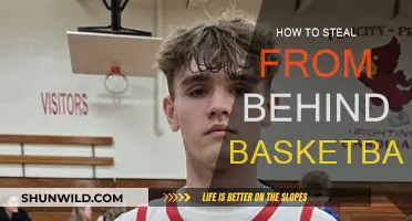 Stealing from Behind: Strategies for Basketball Defense