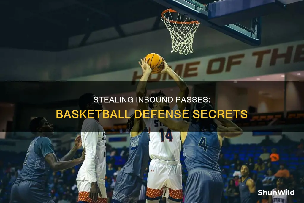 how to steal inbound passes basketball