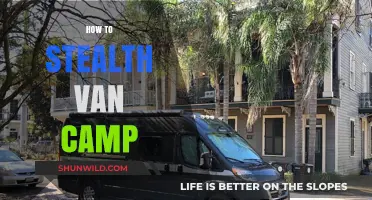 Master Stealth Van Camping: Tips for Discreet and Safe Adventures