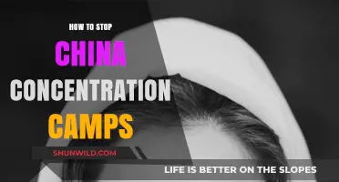 End Uyghur Oppression: Strategies to Dismantle China's Concentration Camps