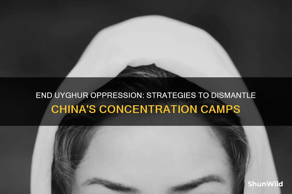 how to stop china concentration camps