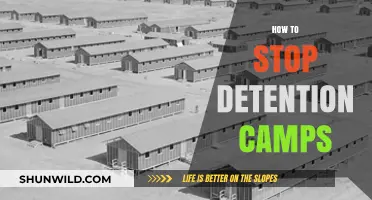Ending Injustice: Strategies to Dismantle Detention Camps Globally