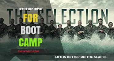 Quit Dipping for Boot Camp: Proven Strategies to Kick the Habit
