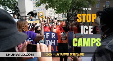 Effective Strategies to Halt Ice Camps and Protect Arctic Ecosystems